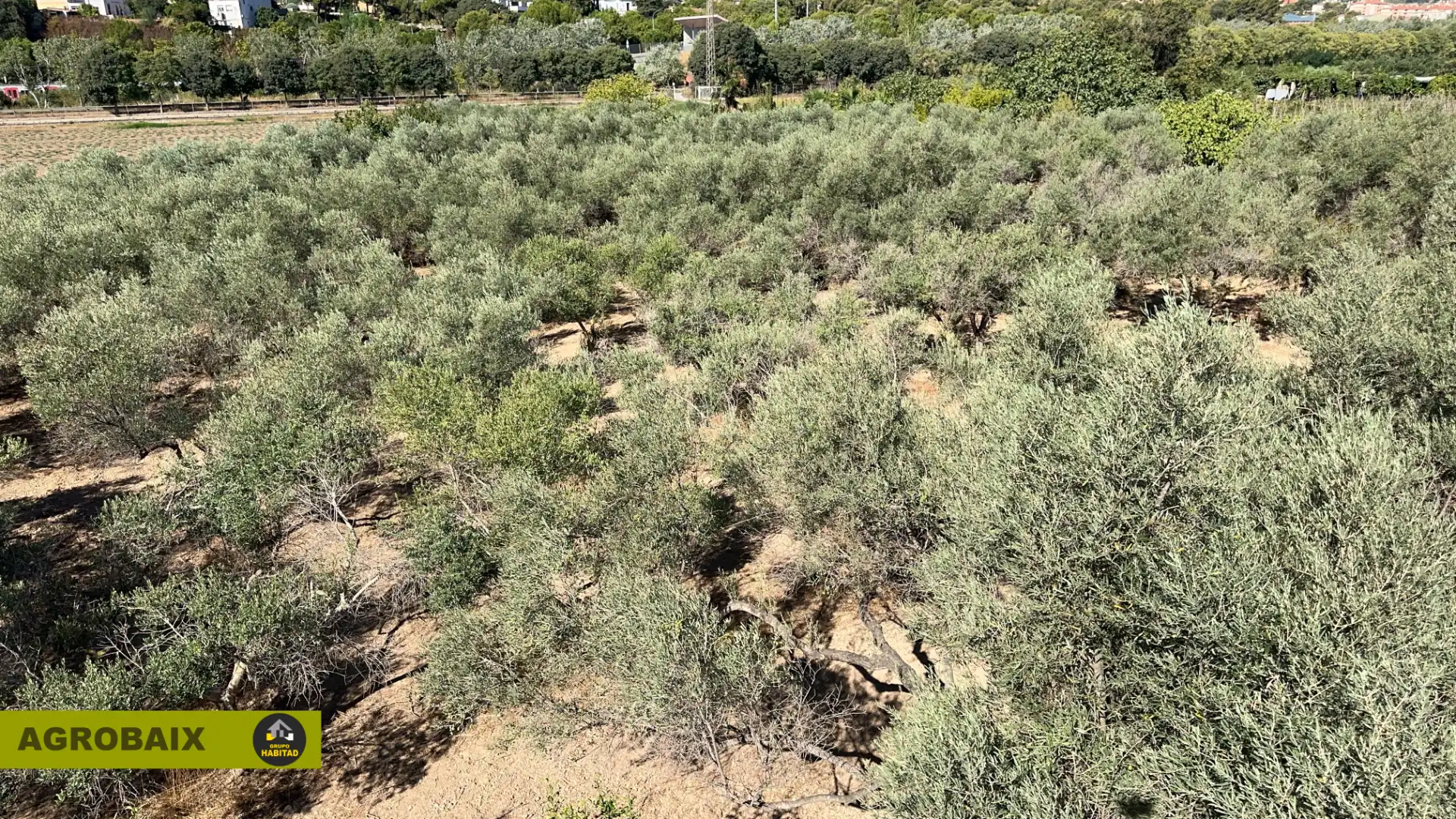 Rural land for sale in BV-2002 114, imagen 11