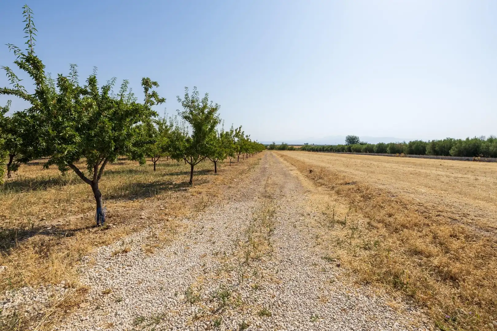 Casa o chalet en venta en Darro con Aire acondicionado, Calefacción y Jardín privado