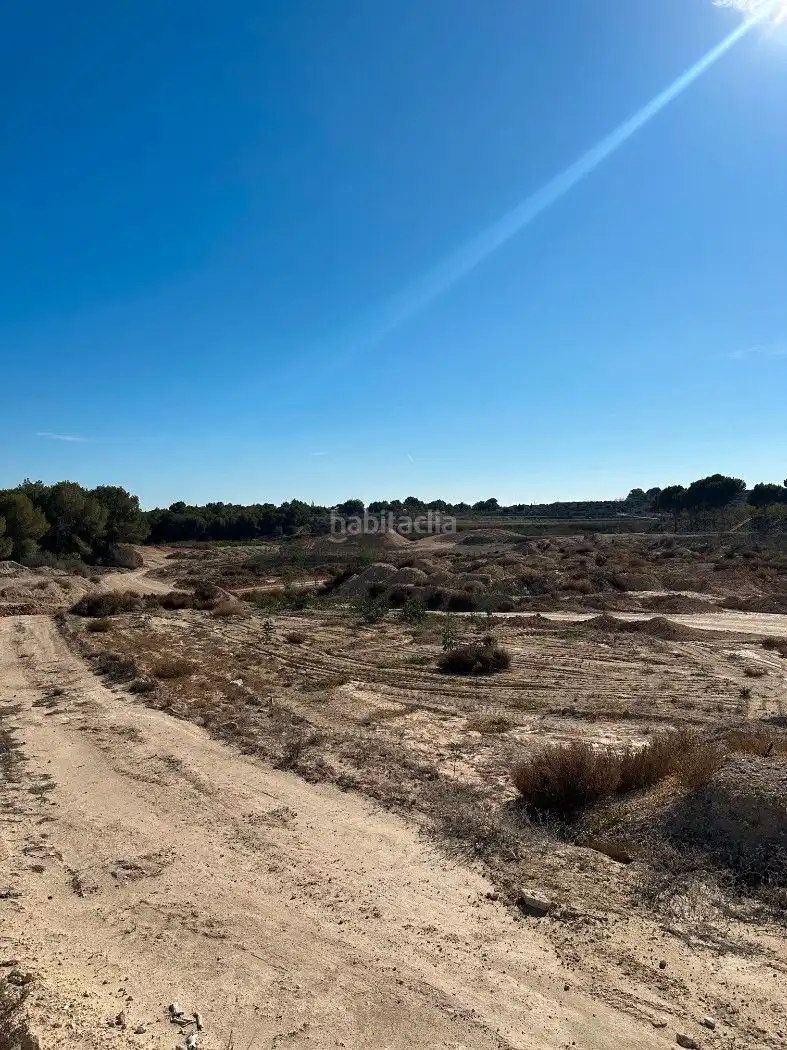 Terrain rustique à vendre à Camino de Catral 31, imagen 7