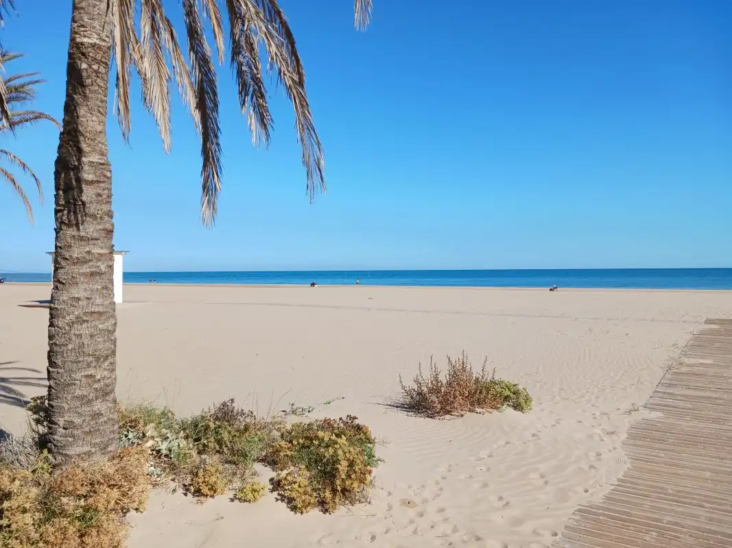 Vista exterior de Traster de lloguer en Gandia