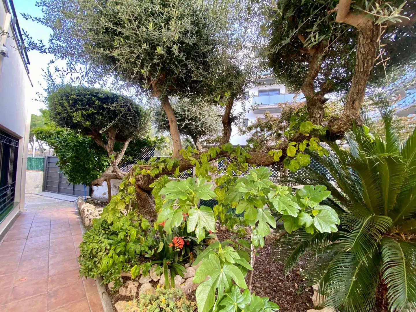 Casa con jardín en venta en Tagamanent, imagen 41