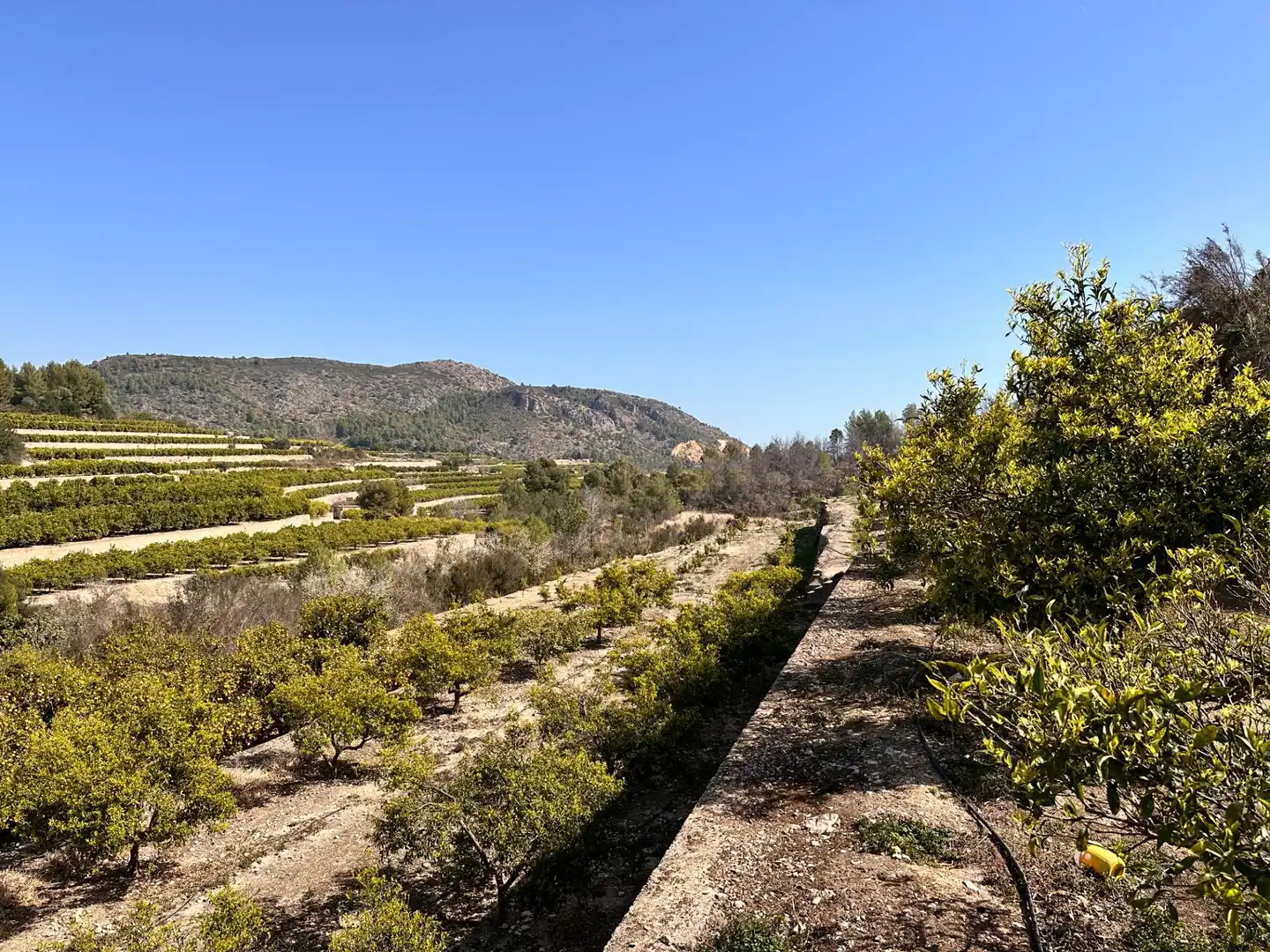 Residencial en venta en L'Atzúbia