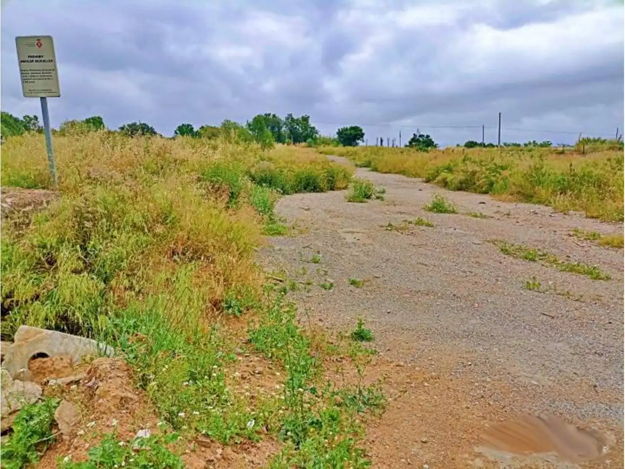 Industrial land for sale in Santa Perpètua de Mogoda, imagen 7