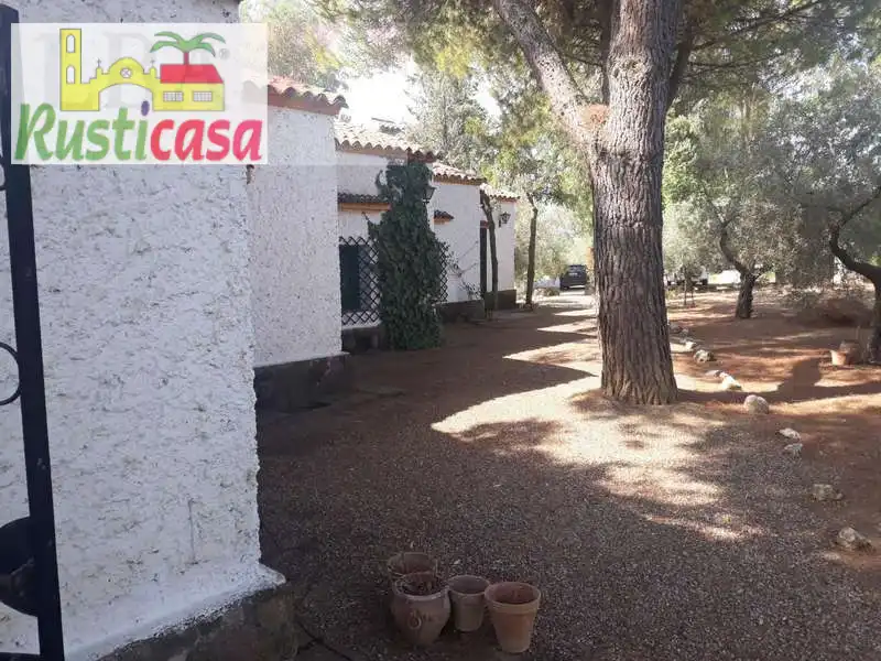 Terreni e lotti in vendita a Bailén