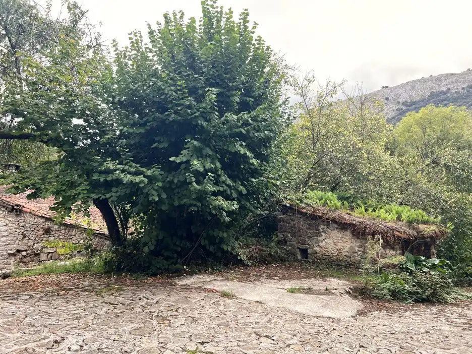 Casa in vendita a Peñamellera Alta, imagen 4