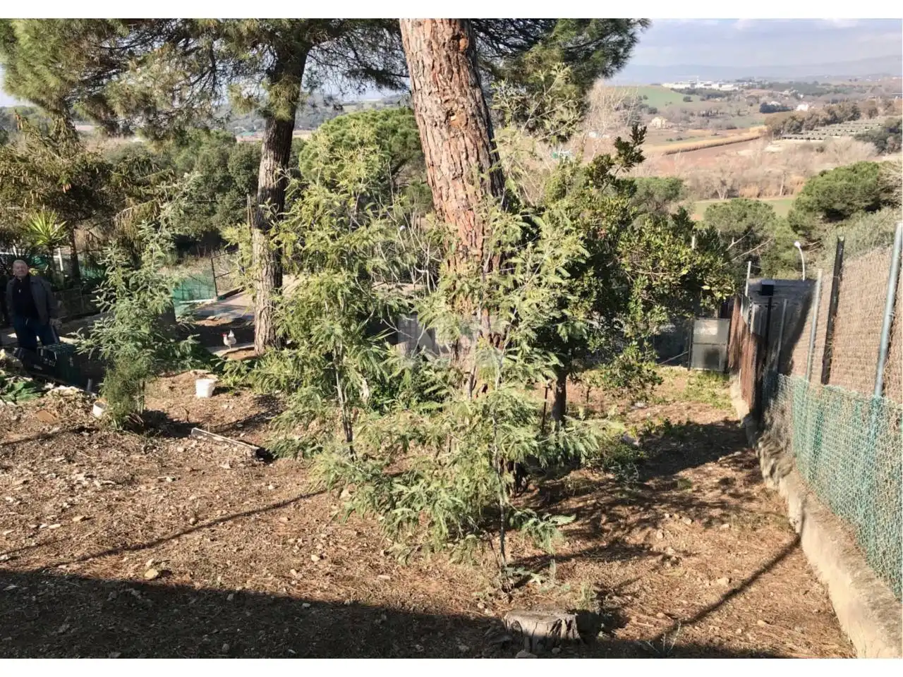 Rural land for sale in Vilanova del Vallès, imagen 6