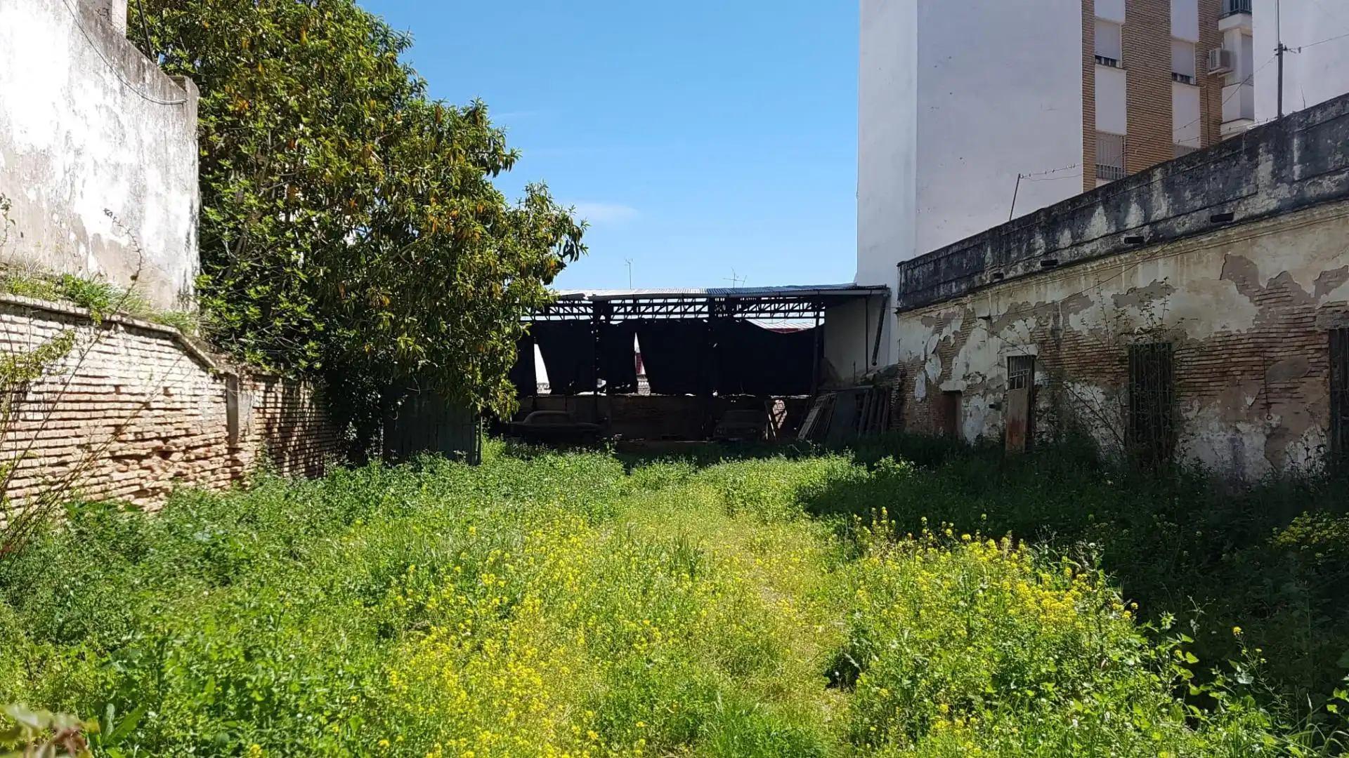 Terreni e lotti in vendita a Centro - Barriada Mallorca, imagen 2