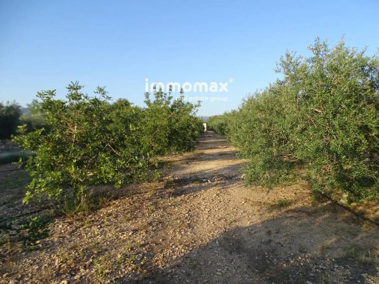 Terrenos y solares en venta en 2, imagen 13