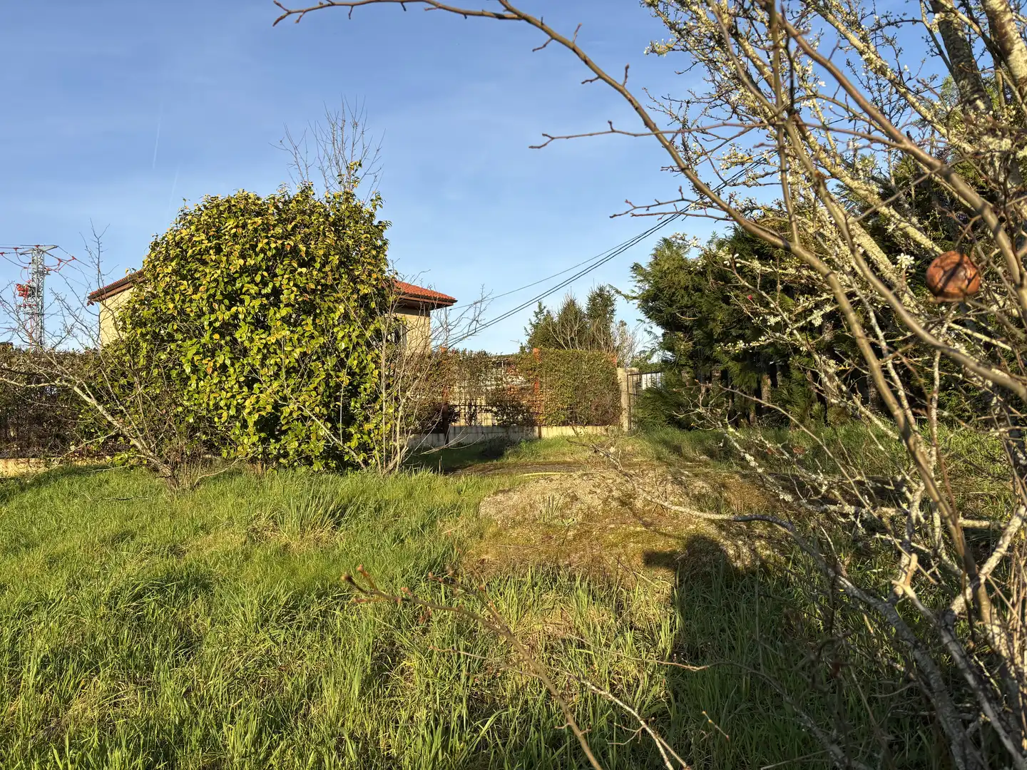 Land for sale in Maside
