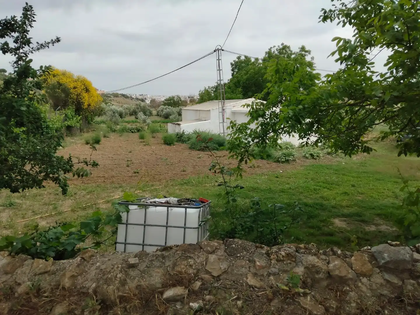Casa rústica en venta en Partidas Sur, imagen 24