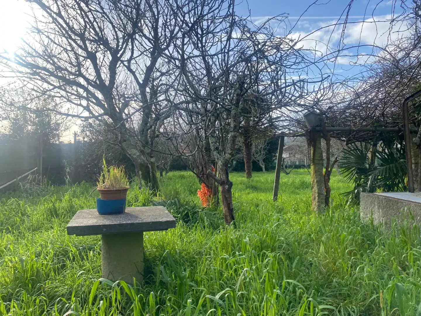 Casa o chalet en venta en Caldas de Reis con Jardín privado