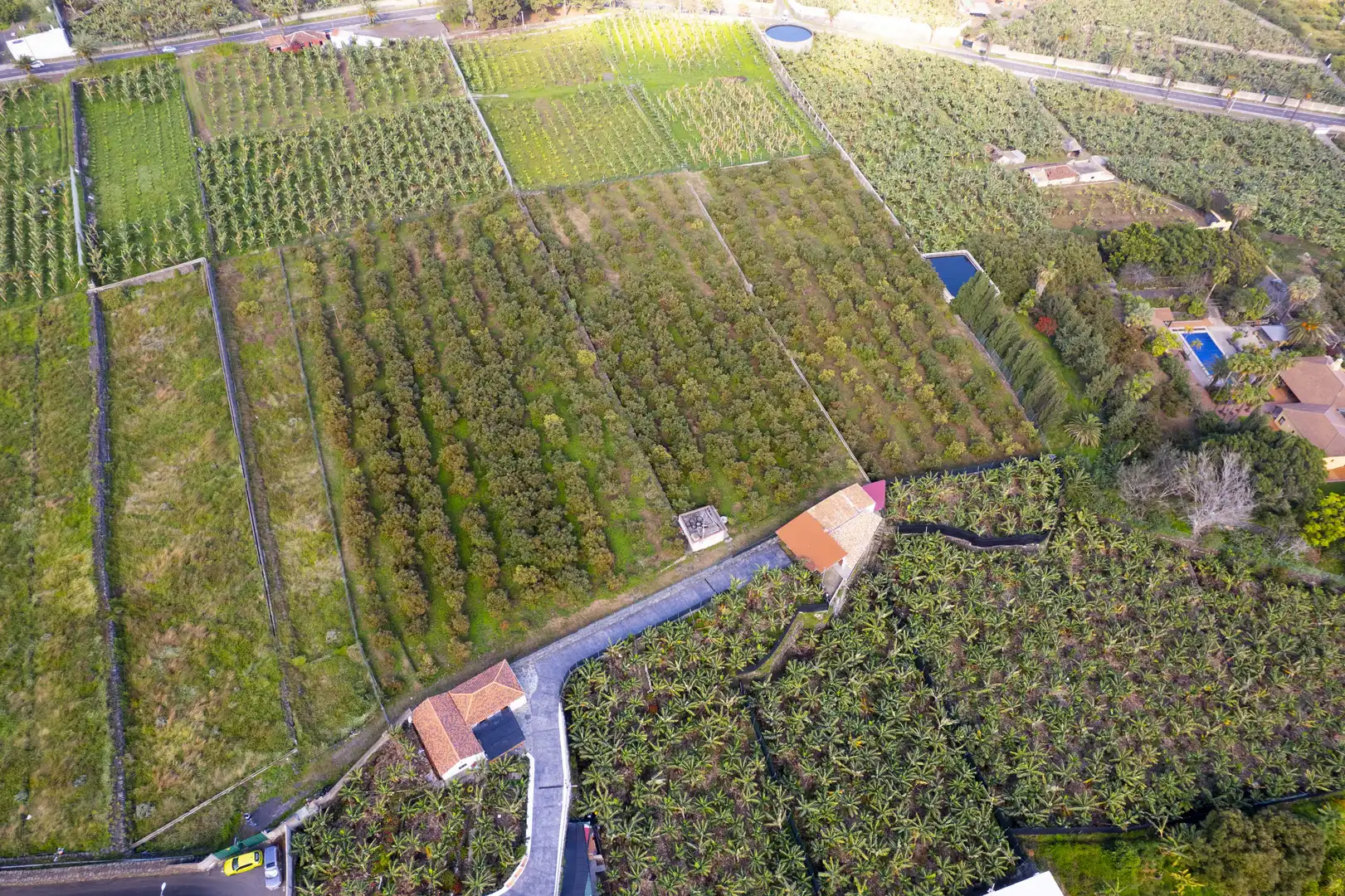 Land for sale in La Orotava