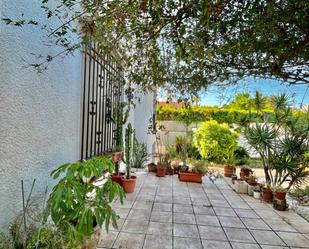 Jardí de Casa o xalet en venda en Elche / Elx amb Terrassa, Piscina i Balcó