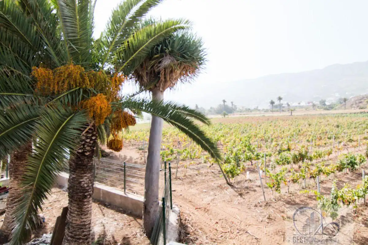 Vista exterior de Finca rústica en venda en Santa Úrsula amb Terrassa i Balcó