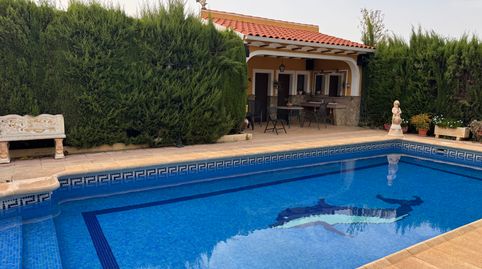 ✌️ Tu refugio en plena naturaleza, a un paso de Bullas 🏡 + Finca de 40.000m2