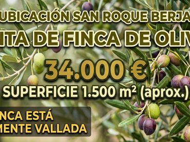 Terreno rustico in vendita a Calle Engarpe