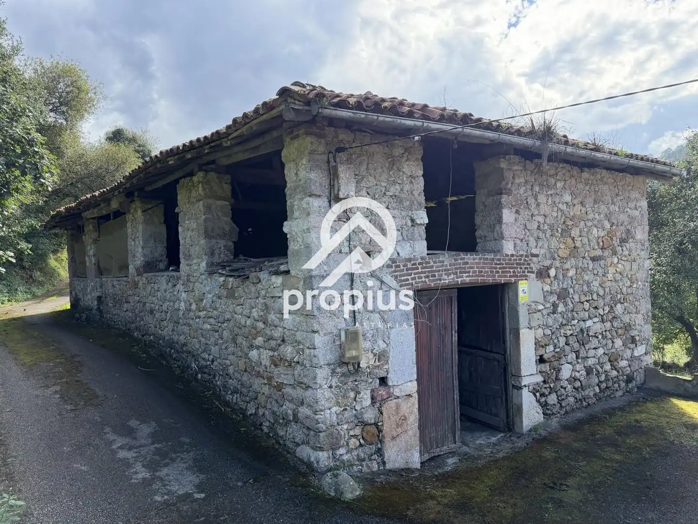 Vista exterior de Casa o chalet en venta en Ribadesella con Jardín privado