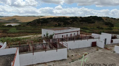 Foto 4 de Finca rústica en venda a Espera, Cádiz