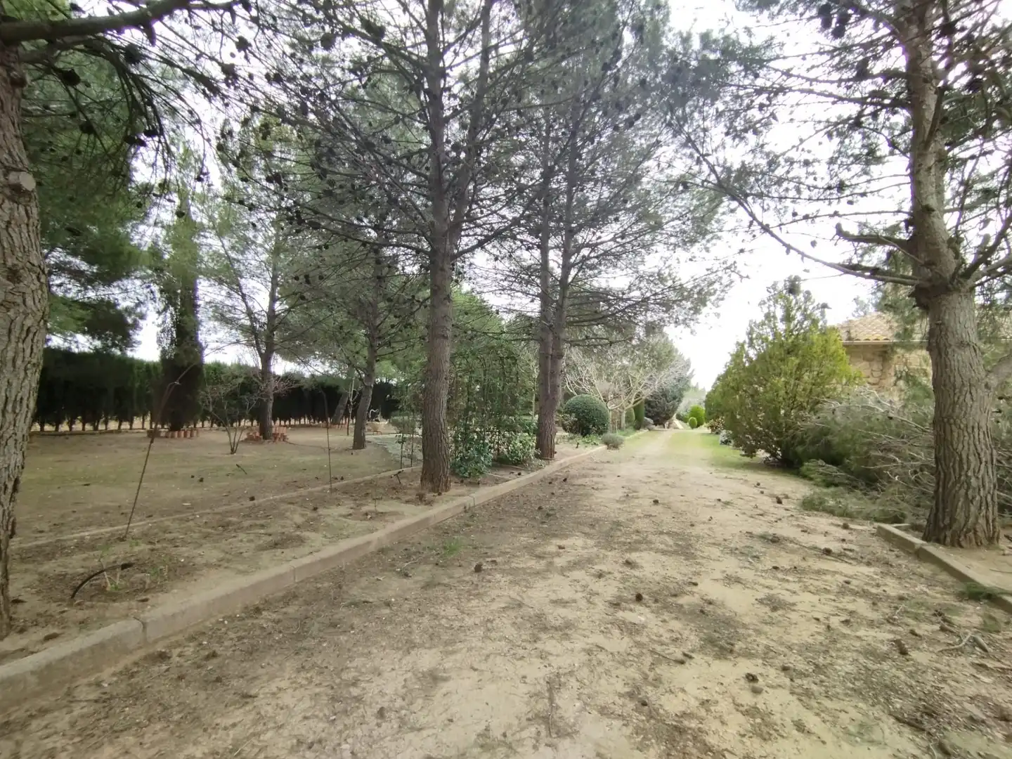 Rural land for sale in Carretera Canal, imagen 9