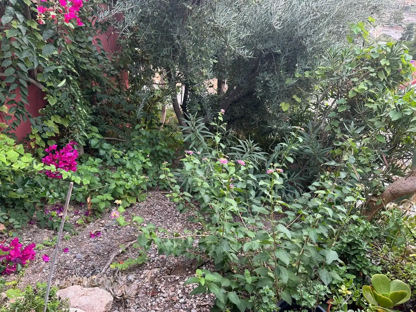 Villa zum Verkauf in Los Collados-Los Geraneos, imagen 30