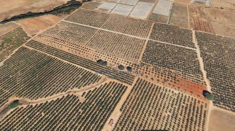 Terreno agrario 1Hectarea, immagine 5
