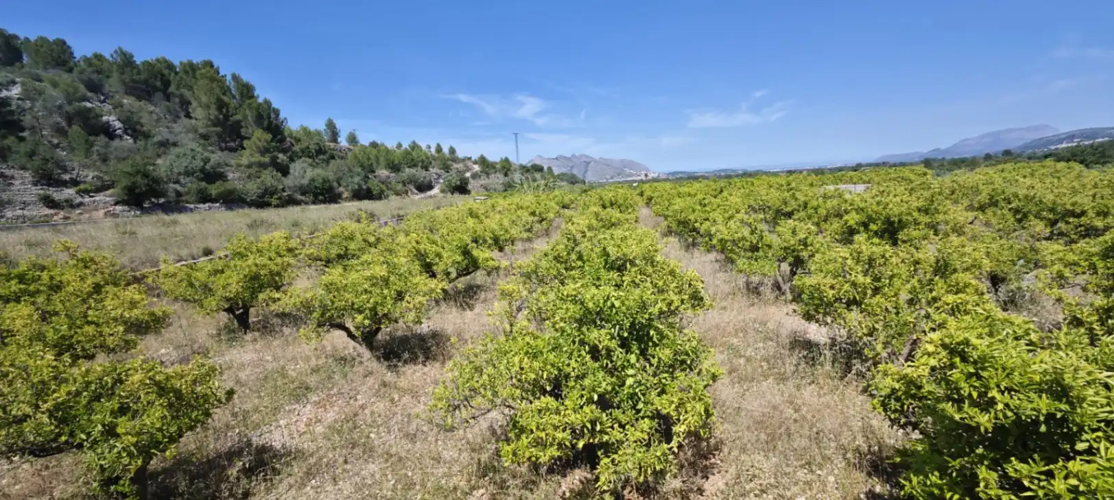 Residential land for sale in Tormos, imagen 15