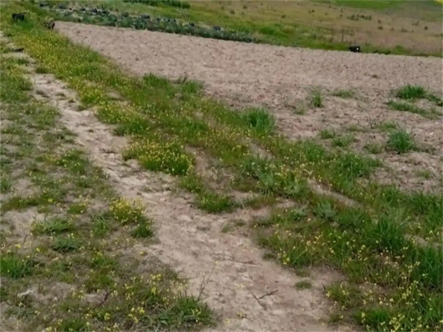 Land for sale in Escalona, Toledo