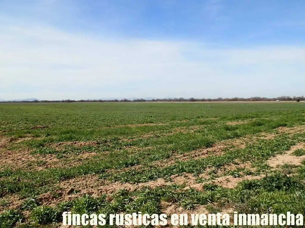 Rural land for sale in Madridejos, imagen 13
