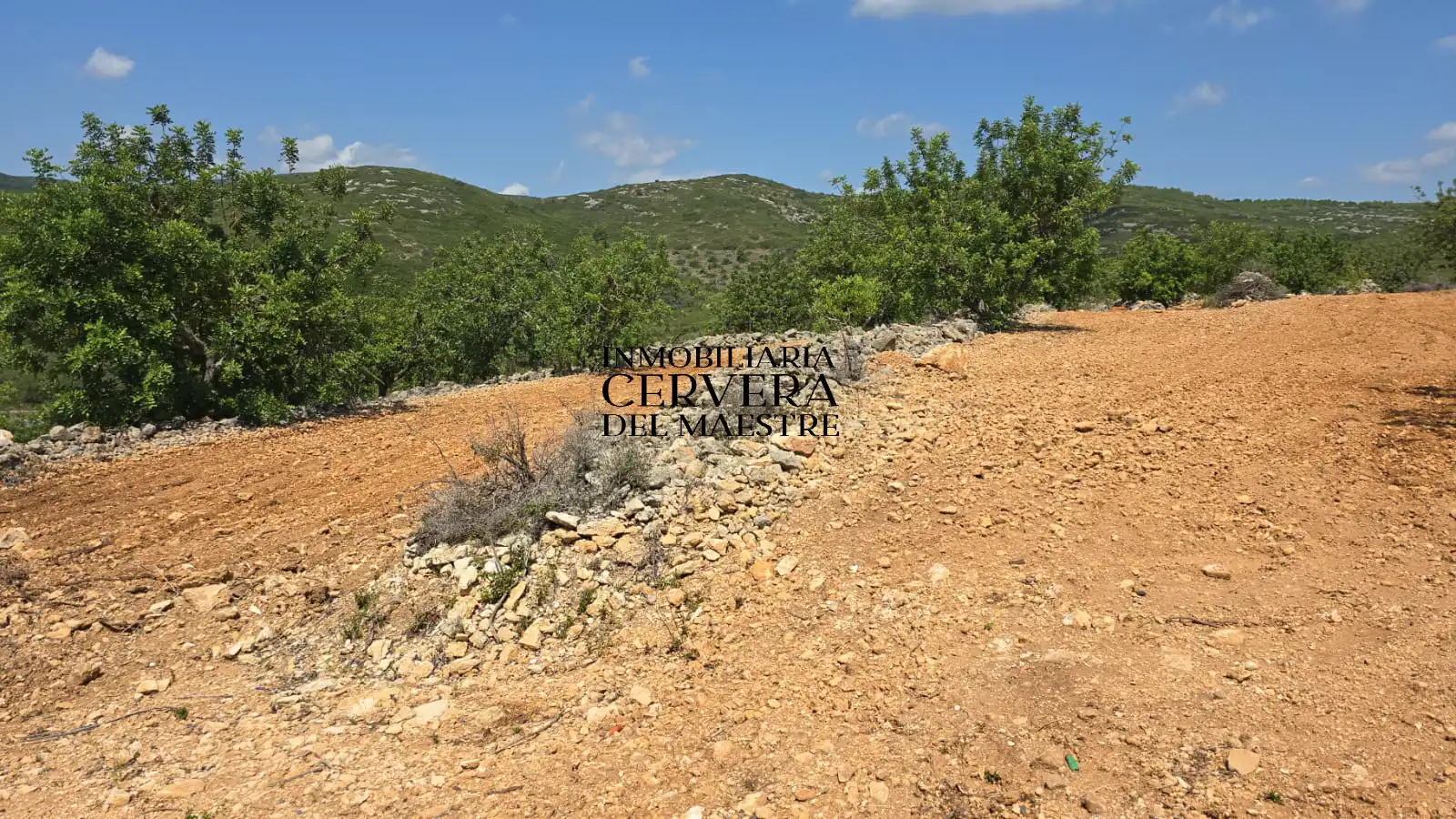 Rural land for sale in Cervera del Maestre, imagen 18