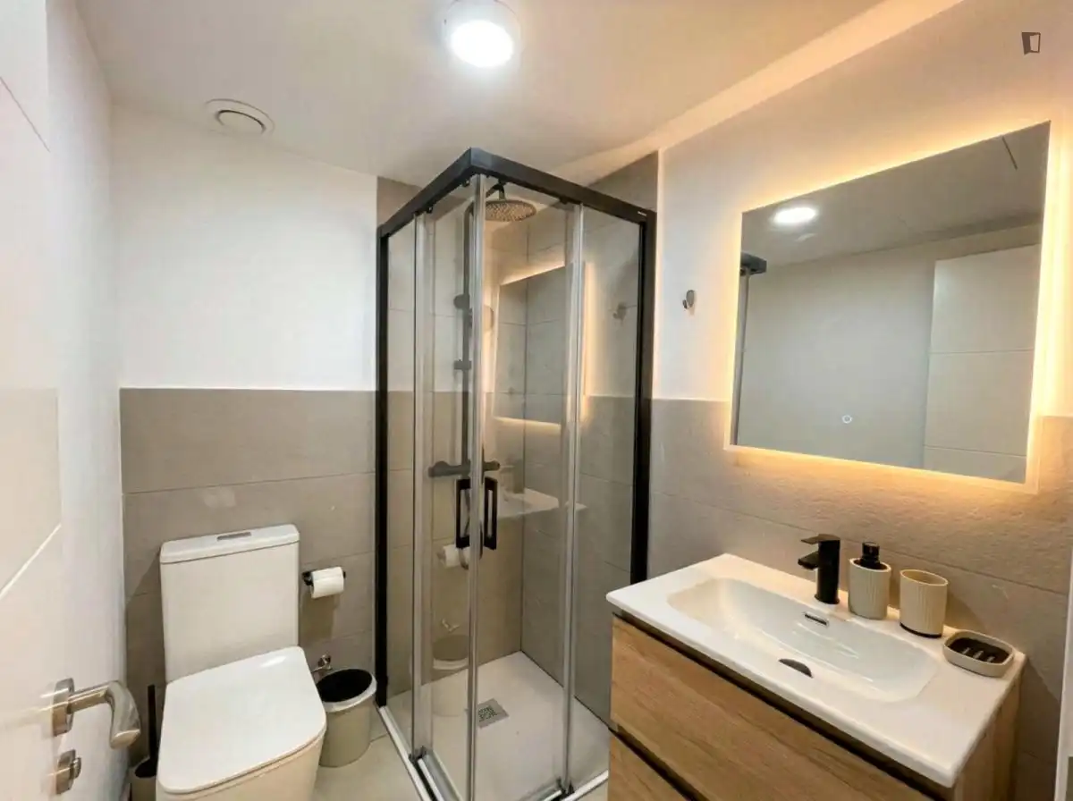 Bathroom of Study for rent in Madrid  with Air Conditioner, Heating and Furnished