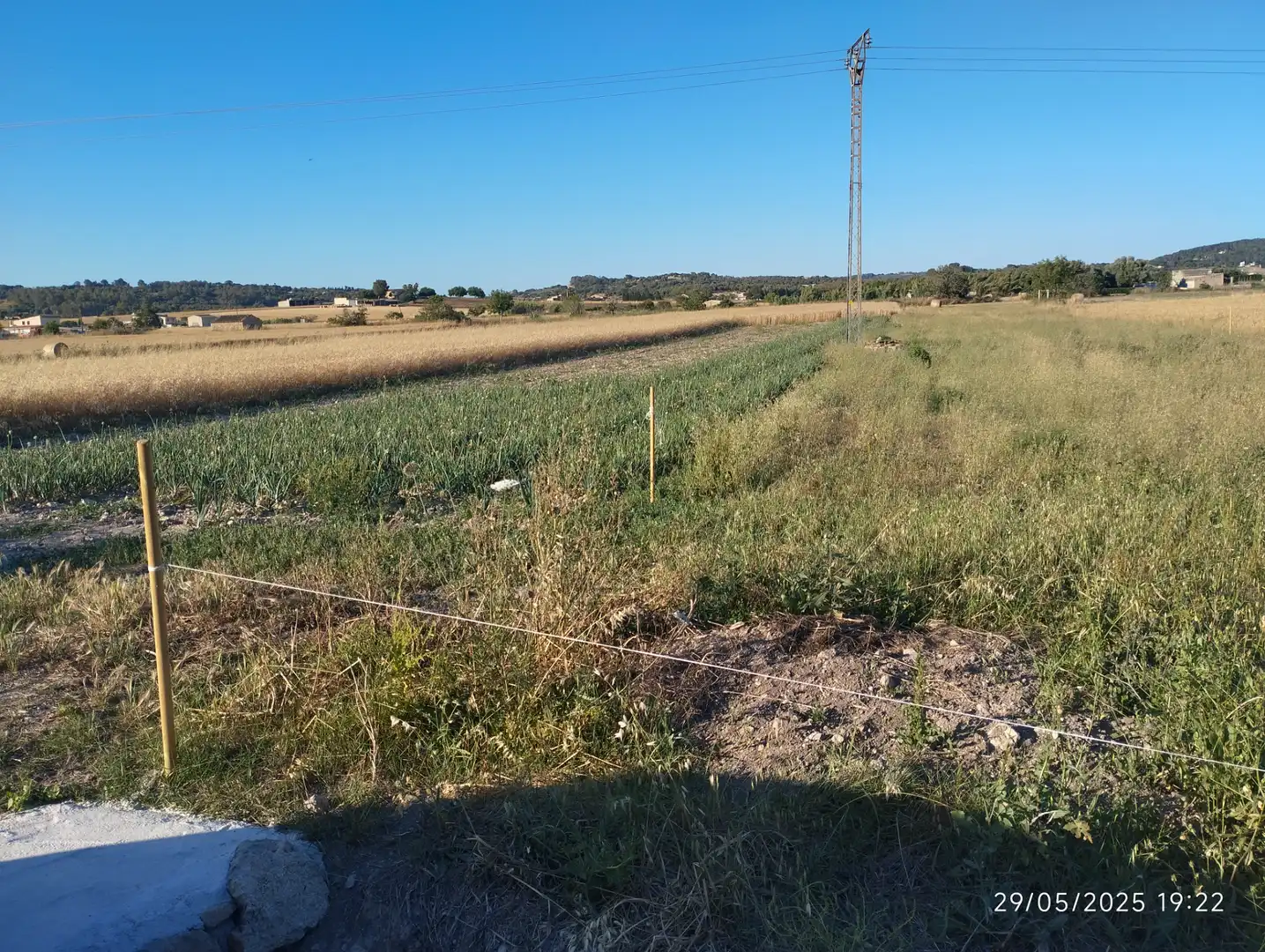 Terreno rustico in vendita a Montuïri, imagen 5