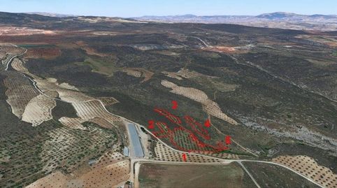 5 Fincas Rústicas, imatge 2