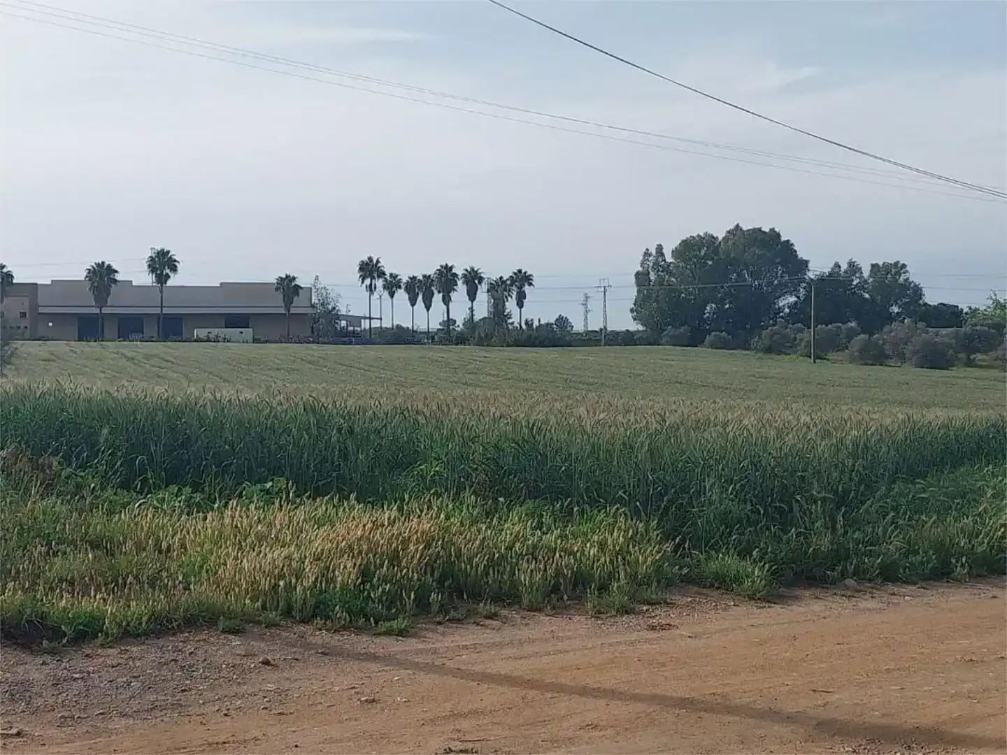 Terreno en venta en La Orden