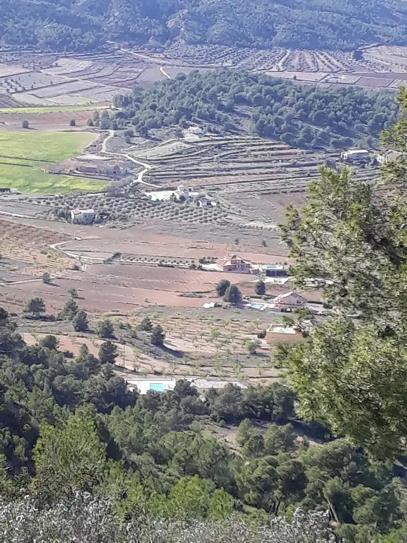 Landhaus zum Verkauf in El Pinós / Pinoso, imagen 12