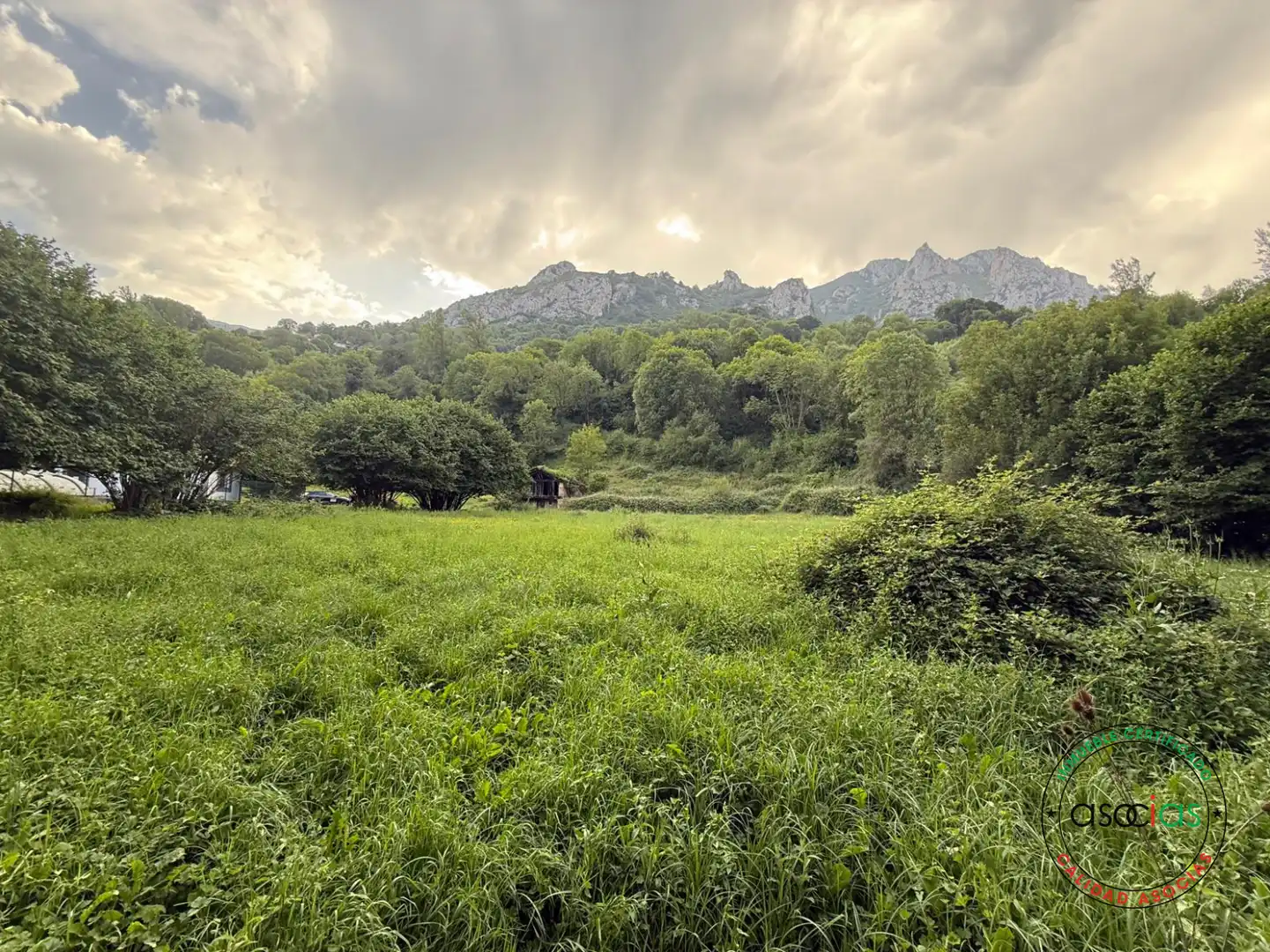 Land for sale in Quirós