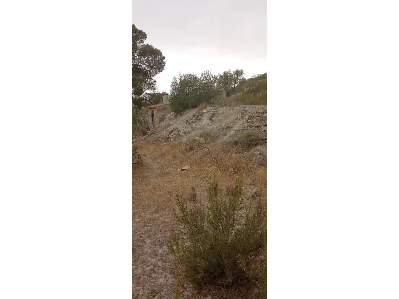 Terreny rústic en venda a Calle PARTIDA LA BASSETA DEL BISSELL, imagen 12
