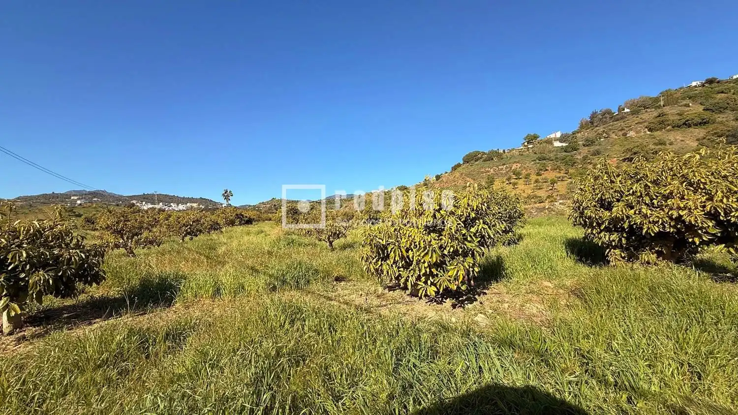 Casa con jardín en venta en Diseminados, imagen 56