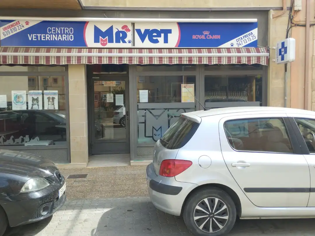Geschaftsraum zur Miete in Villarcayo de Merindad de Castilla la Vieja