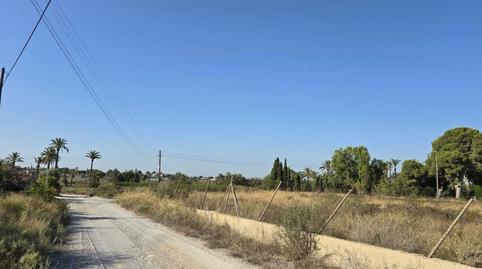 Foto 5 de Finca rústica en venda a Partida Valverde Bajo , Valverde, Elche / Elx