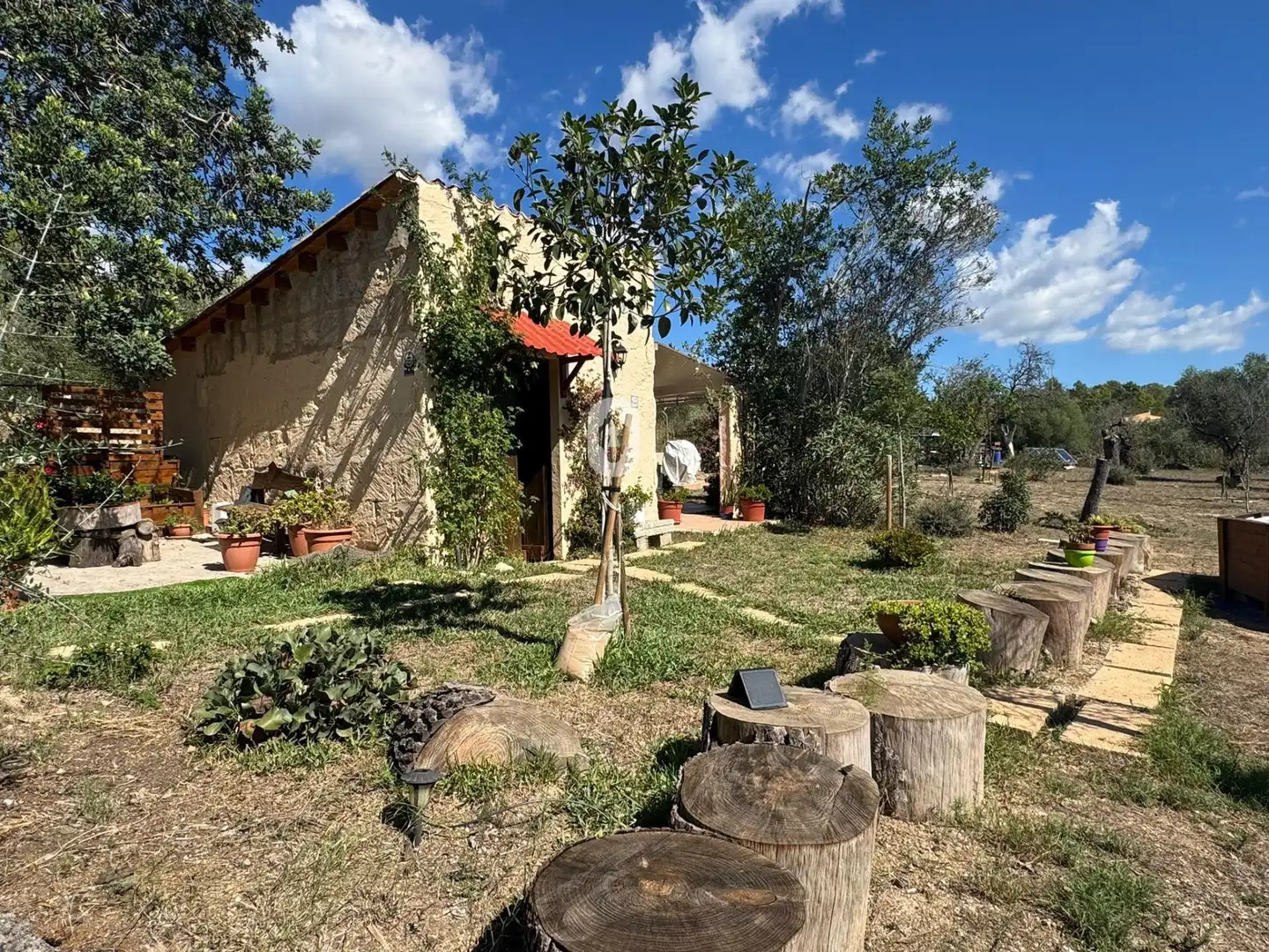 Country house with garden for sale in Son Amonda - Reis Catòlics, imagen 2