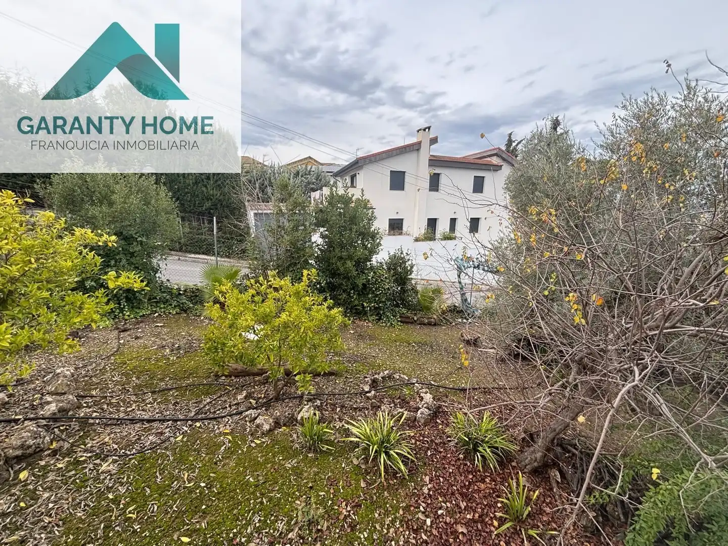 Vista exterior de Casa o chalet en venta en Rute con Jardín privado, Piscina y Amueblado