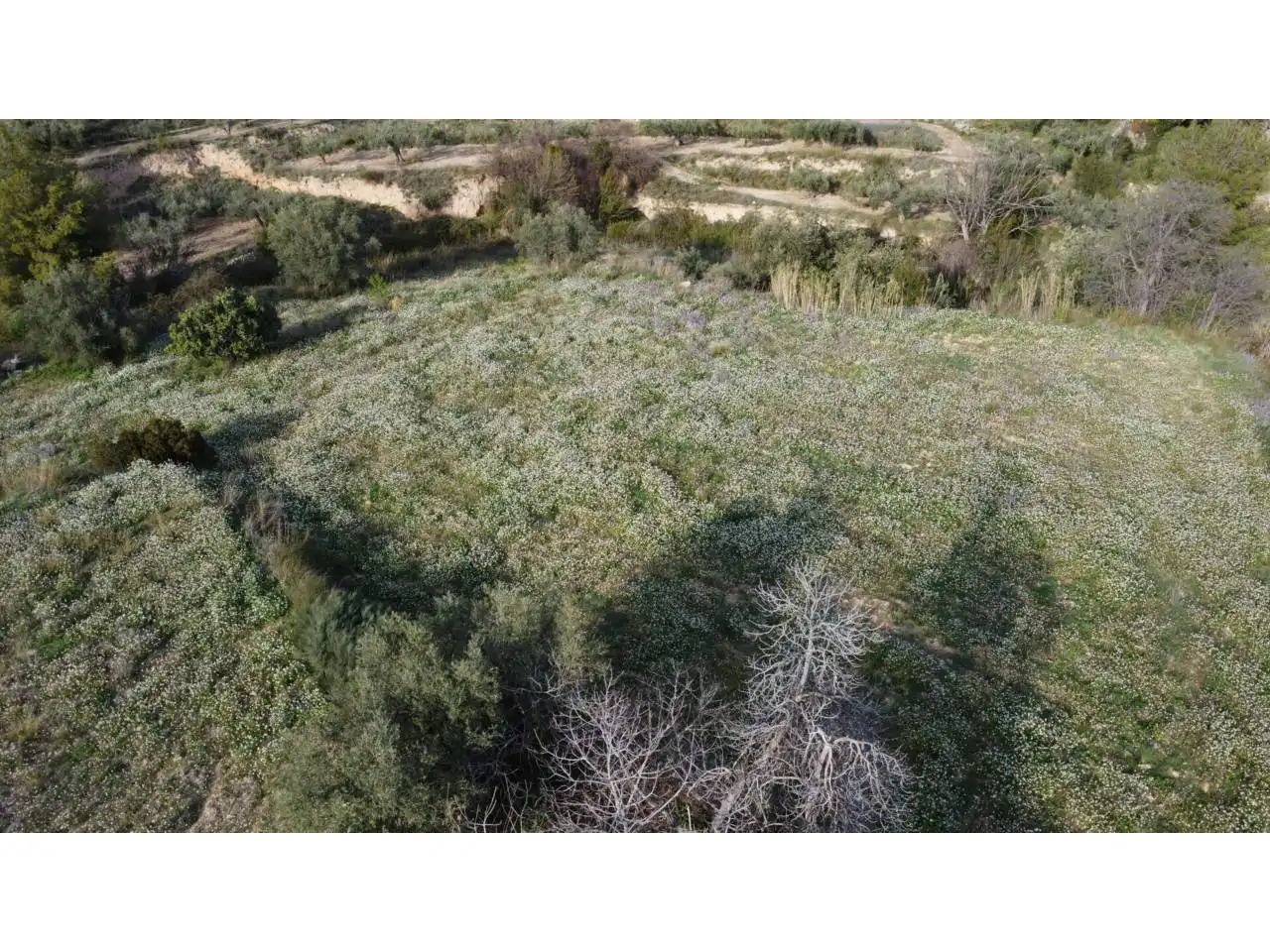 Residencial en venda en Caravaca de la Cruz