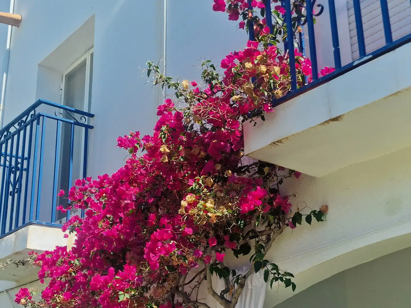 Apartamento con piscina en venta en N/A, imagen 2