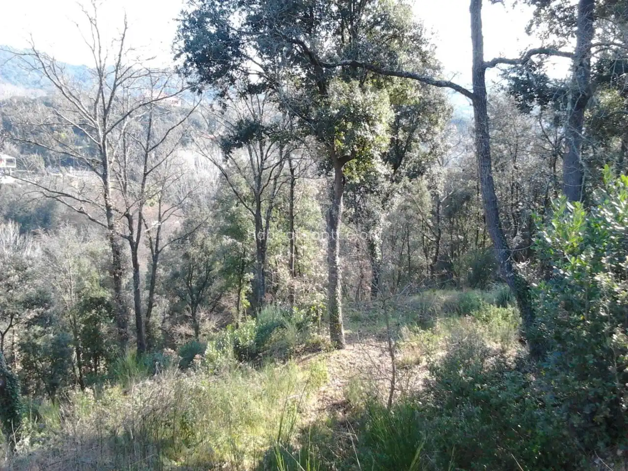 Terreno en venta en Sant Celoni