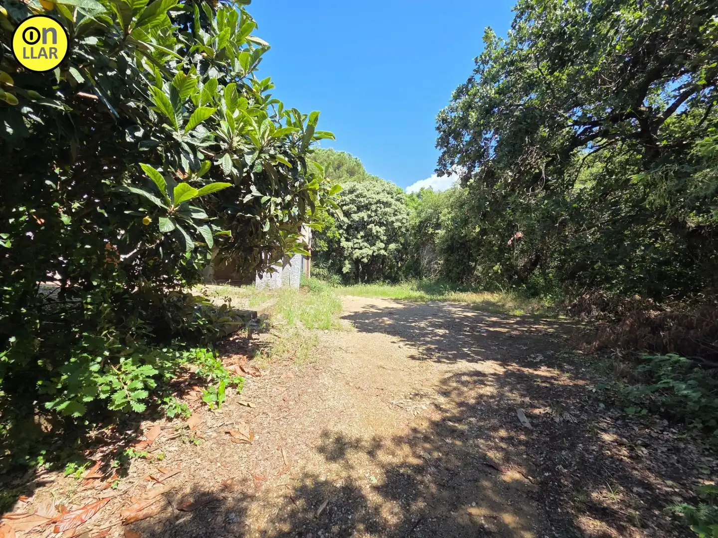 Houses for sale in Campins