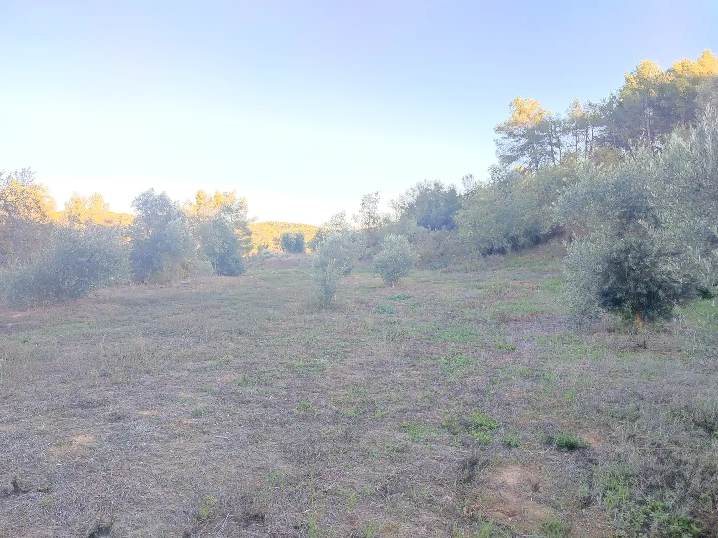 Terreno rústico en venta en L'Albagés, imagen 25