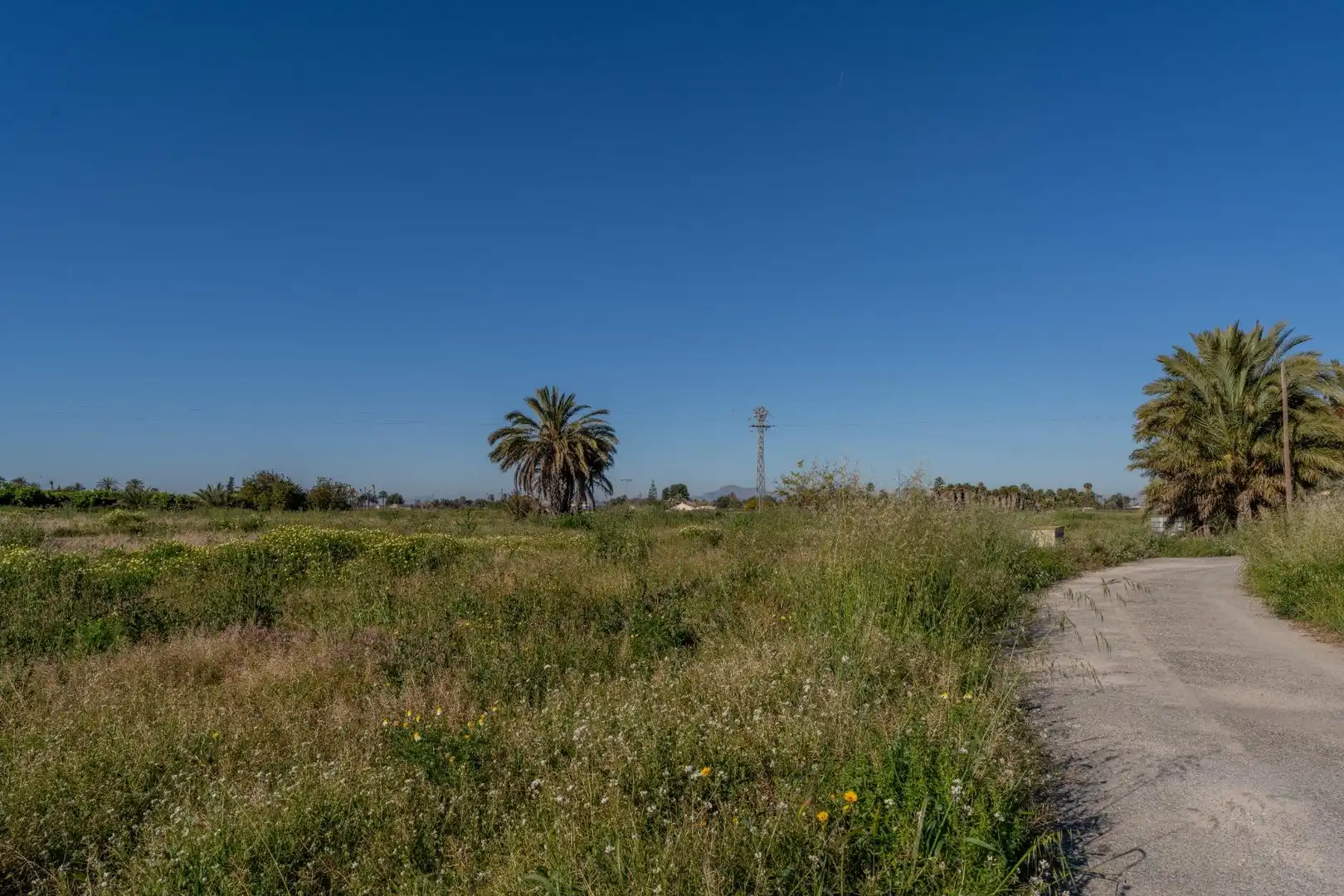 Houses for sale in Elche / Elx