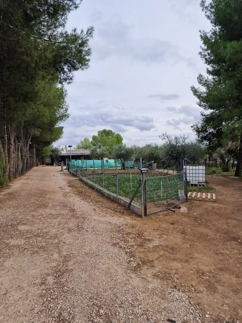 Casa rústica en venda a Calle Baja Azotea, imagen 13