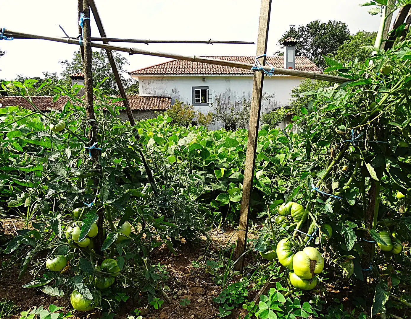 Jardí de Finca rústica en venda en Narón amb Calefacció, Jardí privat i Parquet