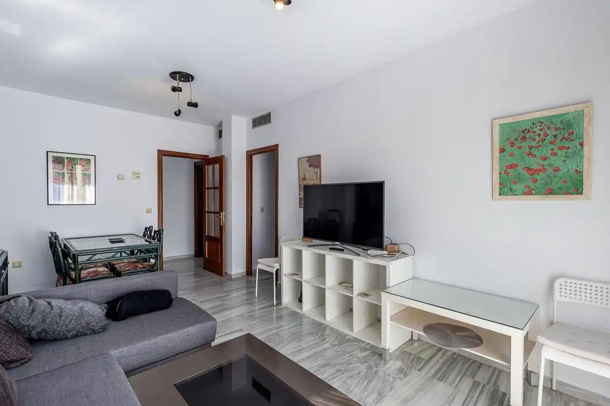 Living room of Flat for rent in Genil